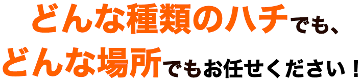 どんな種類のハチでも、どんな場所でもお任せください！