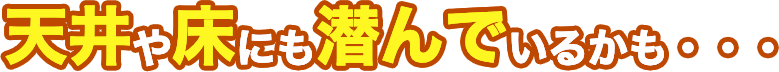 どんな種類のハチでも、どんな場所でもお任せください！